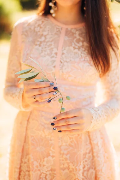 Olive branch w przetargu ręce kobiece — Zdjęcie stockowe