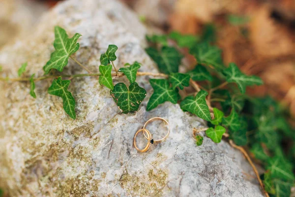 Anillos de boda en las piedras en la hierba —  Fotos de Stock