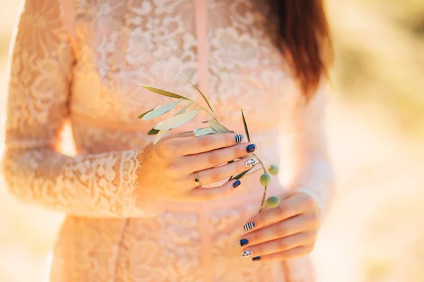柔らかい女性の手でオリーブの枝 — ストック写真