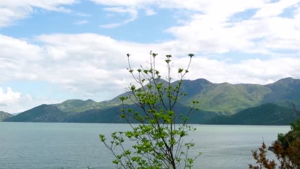 Đurađ Lake in Montenegro. Het grootste zoetwatermeer in de Ba — Stockvideo