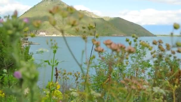 Skadarské jezero v Černé hoře. Největší sladkovodní jezero v Ba — Stock video