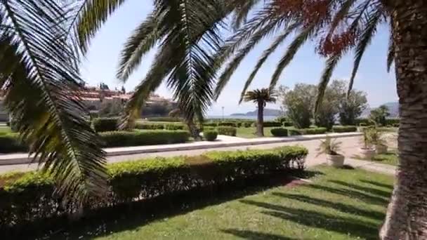 Η επικράτεια του πάρκου Sveti Stefan μπροστά από το νησί. M — Αρχείο Βίντεο