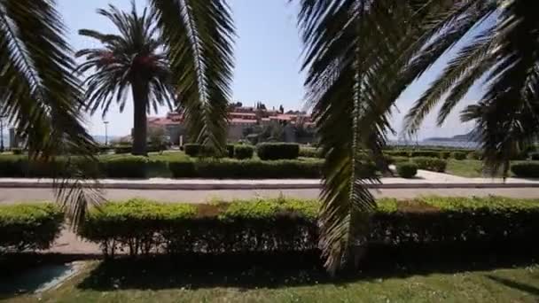 The territory of the park Sveti Stefan in front of the island. M — Stock Video