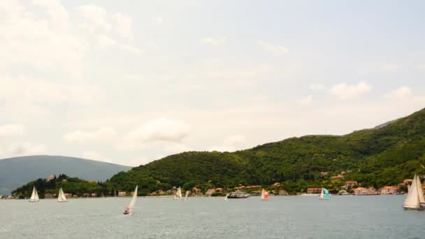 Regata de vela en Montenegro. Regata en yates en la bahía de Boka — Vídeos de Stock