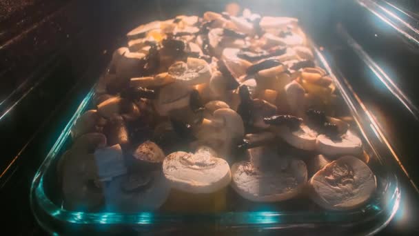 与蘑菇在烤箱里的奶油烤土豆 — 图库视频影像