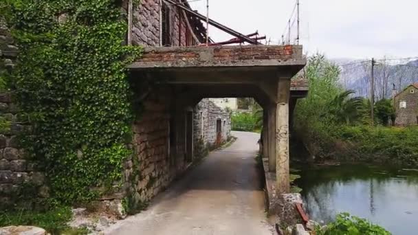 Huis aan het meer begroeid met klimop. Montenegro, het dorp van — Stockvideo