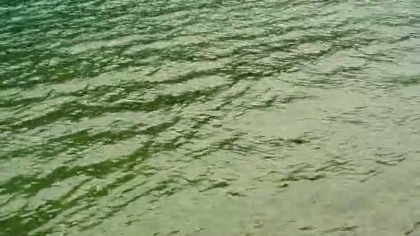 Текстура води. Адріатичне море біля Чорногорії. Прозорі синій — стокове відео