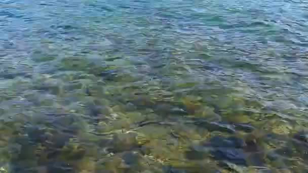 Texture di acqua. Mare Adriatico vicino Montenegro. Blu trasparente — Video Stock