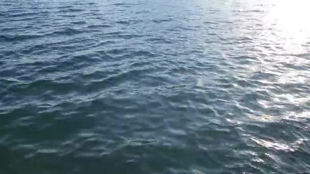 Texture di acqua. Mare Adriatico vicino Montenegro. Blu trasparente — Video Stock