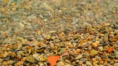 Çakıl plaj. Doku deniz kıyı. Adriyatik Denizi