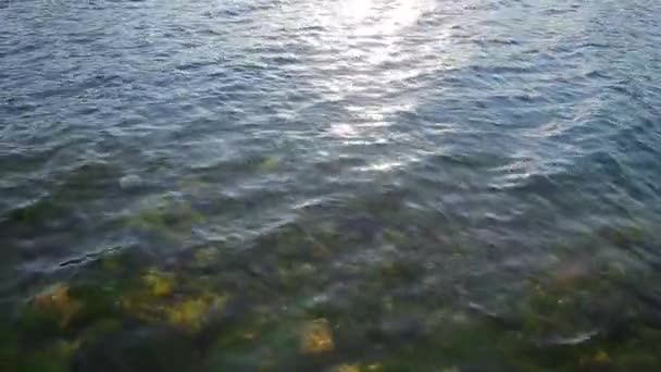 Tekstura wody. Morze Adriatyckie w pobliżu Czarnogóry. Przezroczysty niebieski — Wideo stockowe