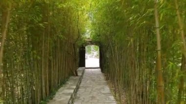 Bambu Grove Park