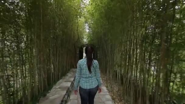 La chica camina en un bosque de bambú. Marco de seguimiento detrás — Vídeos de Stock