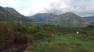 Kotor, Karadağ'defne