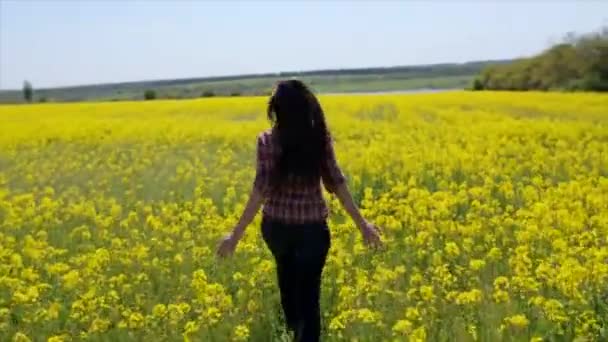 La chica corre en un campo de violación — Vídeo de stock