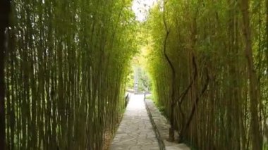 Bambu Grove Park