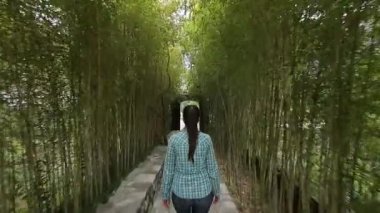 Kız bir bambu koru üzerinde yürür. İzleme çerçeve arkasında