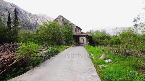 The house is overgrown with ivy near a river — Stock Video