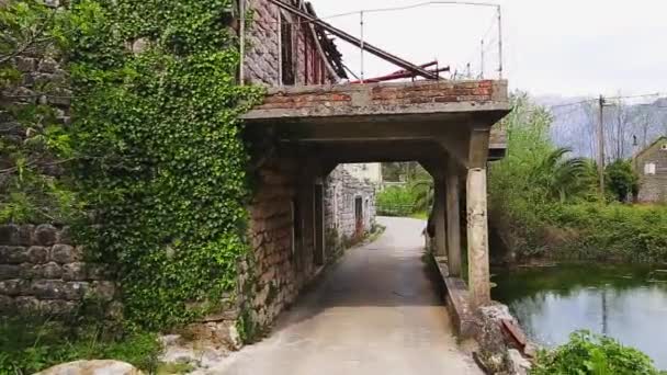 The house is overgrown with ivy near a river — Stock Video