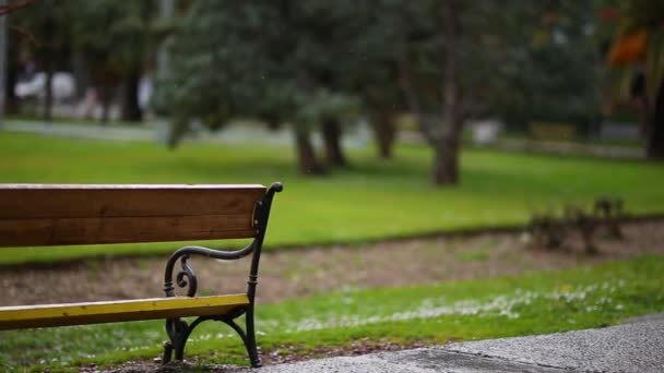 Banco en el parque. Banco de hierro forjado de metal con techo de madera — Vídeos de Stock