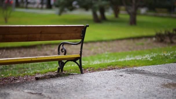 Banco en el parque. Banco de hierro forjado de metal con techo de madera — Vídeo de stock