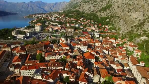 The Old Town of Kotor. Flying over the city. Aerial survey by a — Stock Video