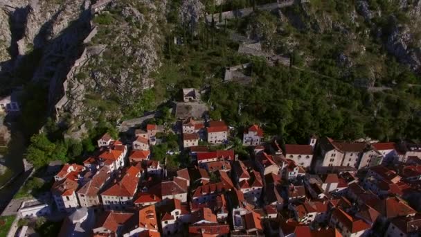 De oude stad van Kotor. Vliegen over de stad. Luchtfoto enquête door een — Stockvideo