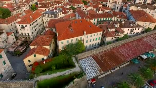 The Old Town of Kotor. Flying over the city. Aerial survey by a — Stock Video