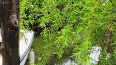 Ahşap tekne palamarla kürek ile