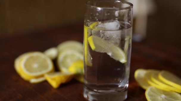 Voorbereiding van limonade — Stockvideo