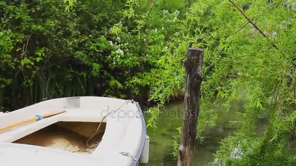 Barco de madera con remos amarrados — Vídeo de stock