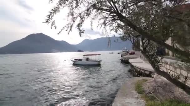 El casco antiguo de Perast en la orilla de la bahía de Kotor, Montenegro. Th — Vídeos de Stock