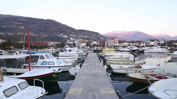 Puerto deportivo en Montenegro — Vídeo de stock