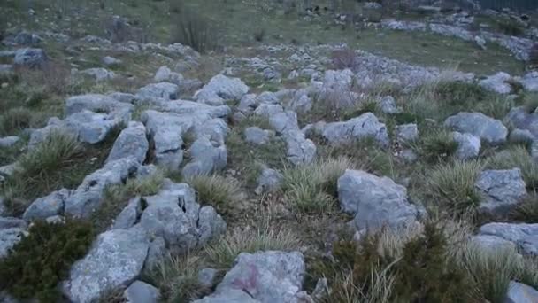 Baai van Kotor vanuit de hoogte. Uitzicht vanaf de berg Lovcen naar de baai — Stockvideo