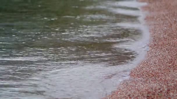 Ciottoli sulla spiaggia. Texture della riva del mare. Mare Adriatico — Video Stock