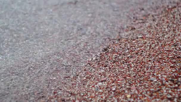 Pebbles on the beach. Texture of the sea shore. The Adriatic Sea — Stock Video
