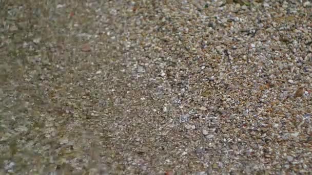 Камушек на пляже. Текстура морского берега. Адриатическое море — стоковое видео