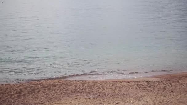 Βότσαλα στην παραλία. Υφή του στην ακτή της θάλασσας. Αδριατική θάλασσα — Αρχείο Βίντεο