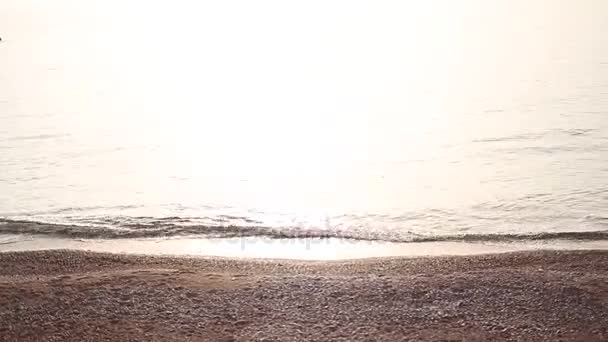 Guijarros en la playa. Textura de la orilla del mar. El mar Adriático — Vídeo de stock