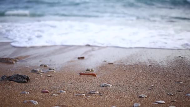 Guijarros en la playa. Textura de la orilla del mar. El mar Adriático — Vídeos de Stock