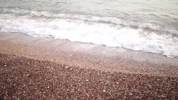 Guijarros en la playa. Textura de la orilla del mar. El mar Adriático — Vídeos de Stock