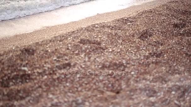 Guijarros en la playa. Textura de la orilla del mar. El mar Adriático — Vídeos de Stock