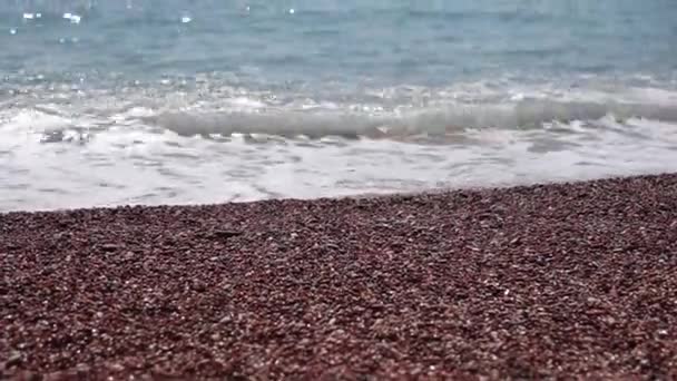 Guijarros en la playa. Textura de la orilla del mar. El mar Adriático — Vídeos de Stock