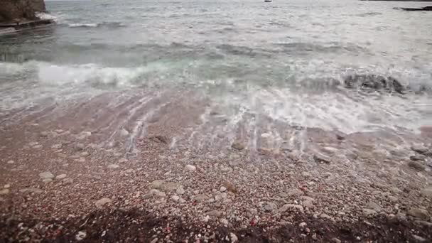 Guijarros en la playa. Textura de la orilla del mar. El mar Adriático — Vídeo de stock