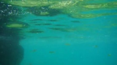 Deniz altındaki su altında. Adriatic, Karadağ sularına. Metin