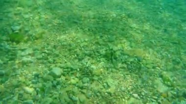 Deniz altındaki su altında. Adriatic, Karadağ sularına. Metin