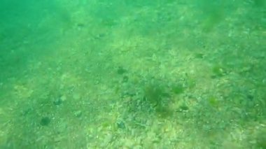 Deniz altındaki su altında. Adriatic, Karadağ sularına. Metin