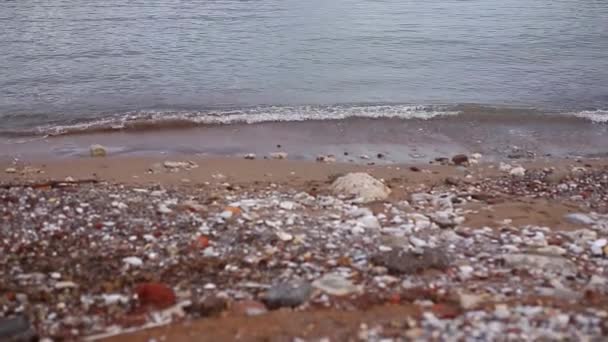 Kiezels op het strand. Het patroon van de kust. De Adriatische Zee — Stockvideo