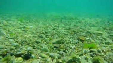 Deniz altındaki su altında. Adriatic, Karadağ sularına. Metin