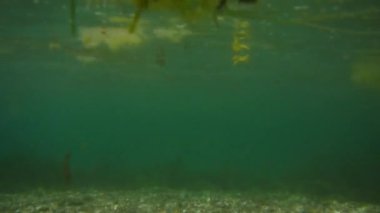 Deniz altındaki su altında. Adriatic, Karadağ sularına. Metin